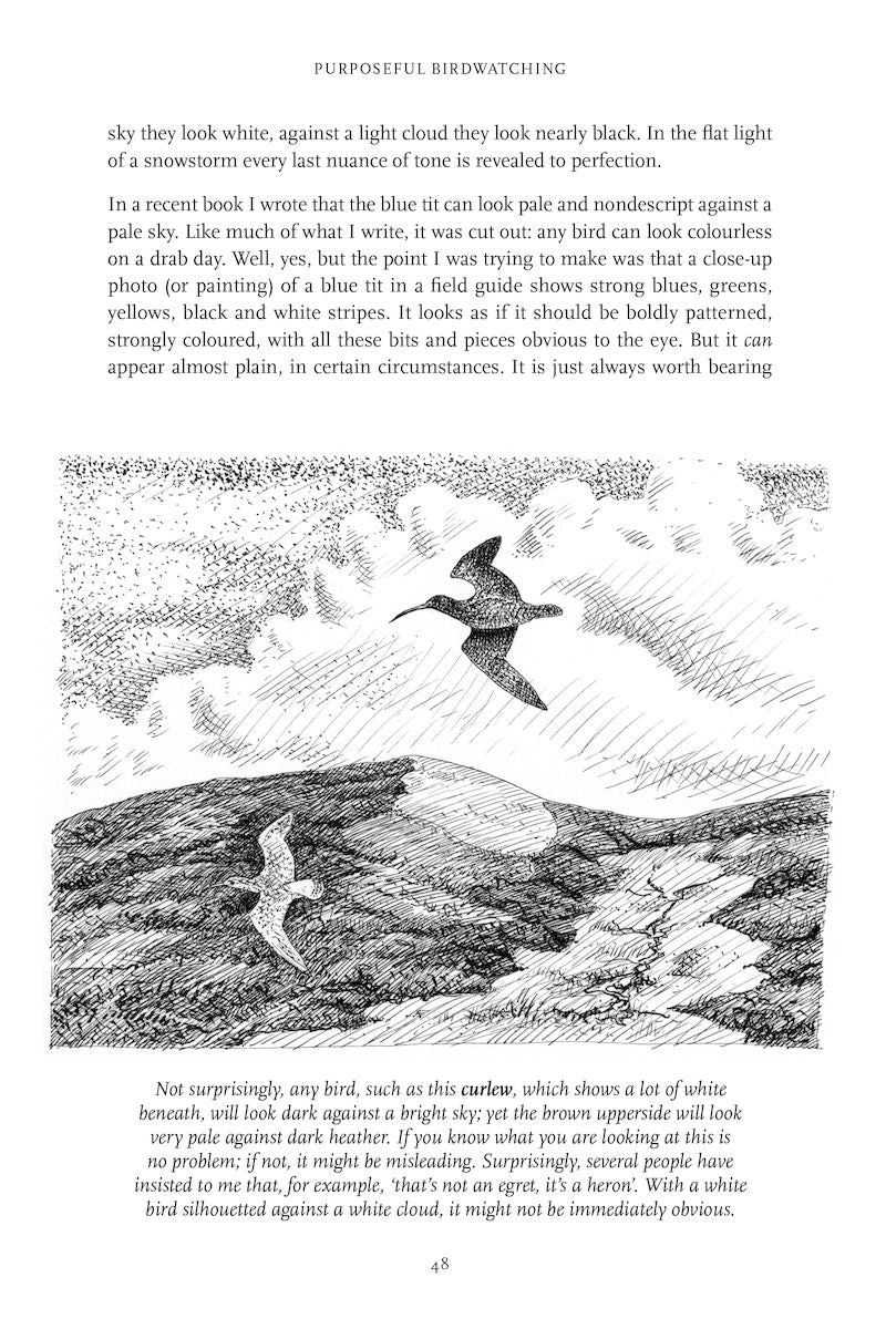 Purposeful Birdwatching - Getting to Know Birds Better