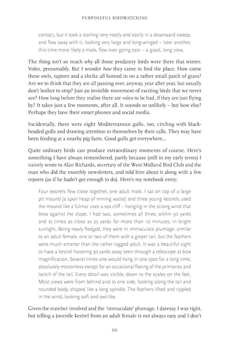 Purposeful Birdwatching - Getting to Know Birds Better