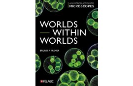 Worlds within Worlds