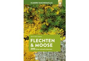 Flechten und Moose