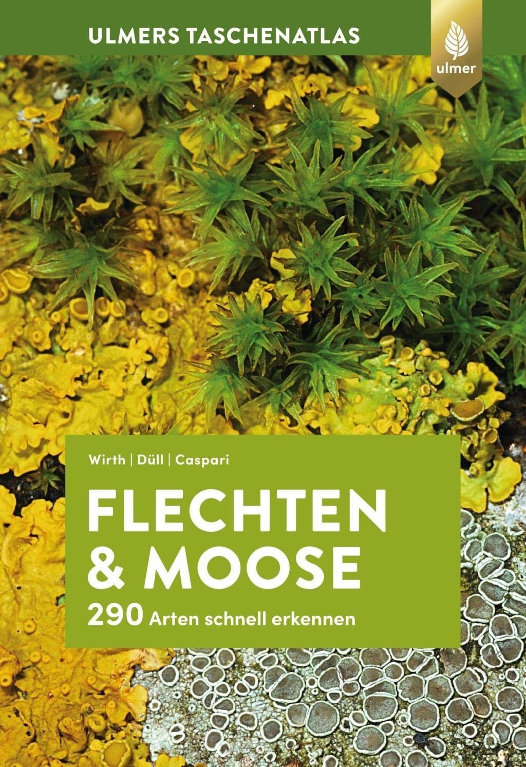 Flechten und Moose - 290 Arten schnell erkennen