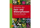 Bildatlas der Farn- und Blütenpflanzen Deutschlands