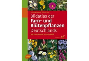 Bildatlas der Farn- und Blütenpflanzen Deutschlands