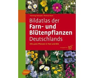Bildatlas der Farn- und Bltenpflanzen Deutschlands - Veldshop
