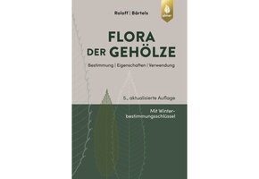 Flora der Gehölze