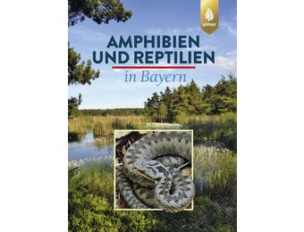 Amphibien und Reptilien in Bayern