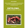Flora Agaricina Neerlandica, Volume 1, supplement - Entolomo s.l.