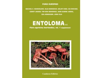 Flora Agaricina Neerlandica, Volume 1, supplement - Entolomo s.l.
