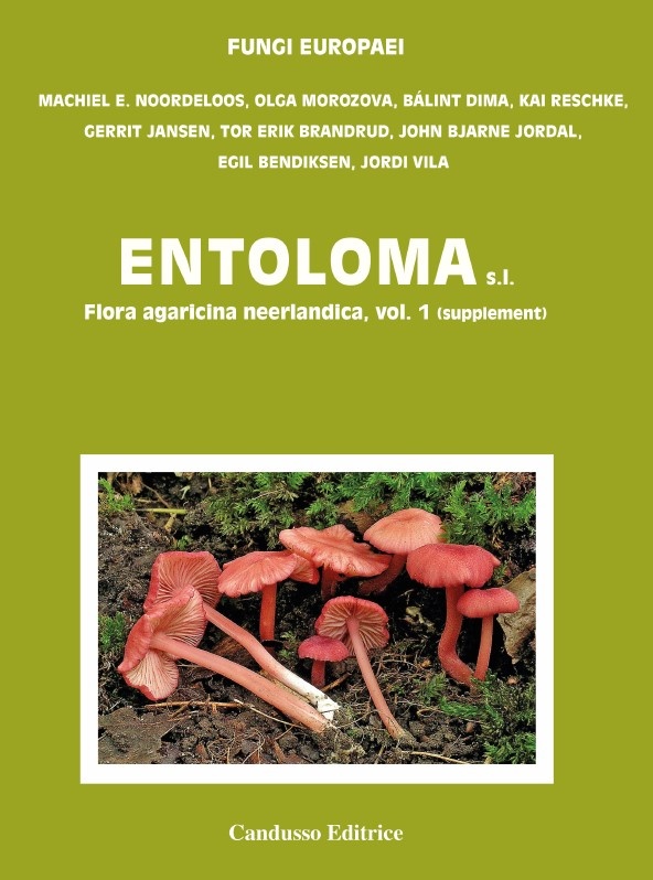Flora Agaricina Neerlandica, Volume 1, supplement / Fungi Europaei, Volume 5B - Entolomo s.l.