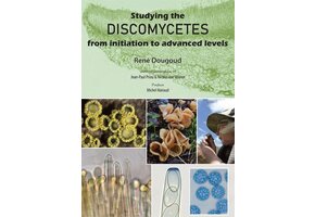 Studying the Discomycetes