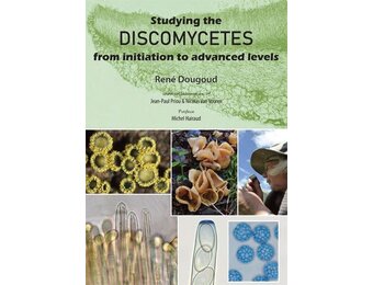 Studying the Discomycetes