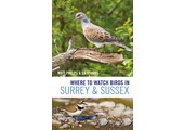 Where to Watch Birds in Surrey and Sussex