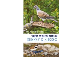 Where to Watch Birds in Surrey and Sussex