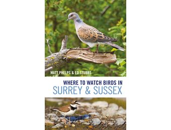 Where to Watch Birds in Surrey and Sussex