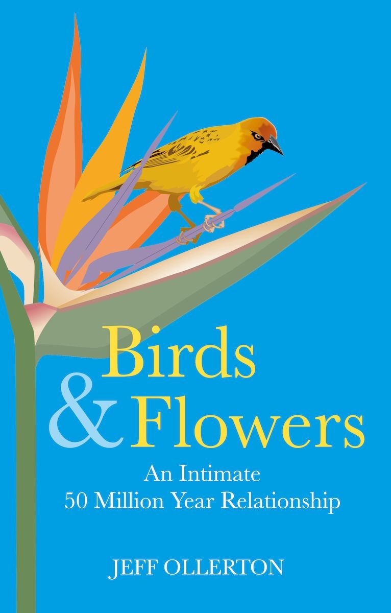Birds and Flowers - An Intimate 50 Million Year Relationship