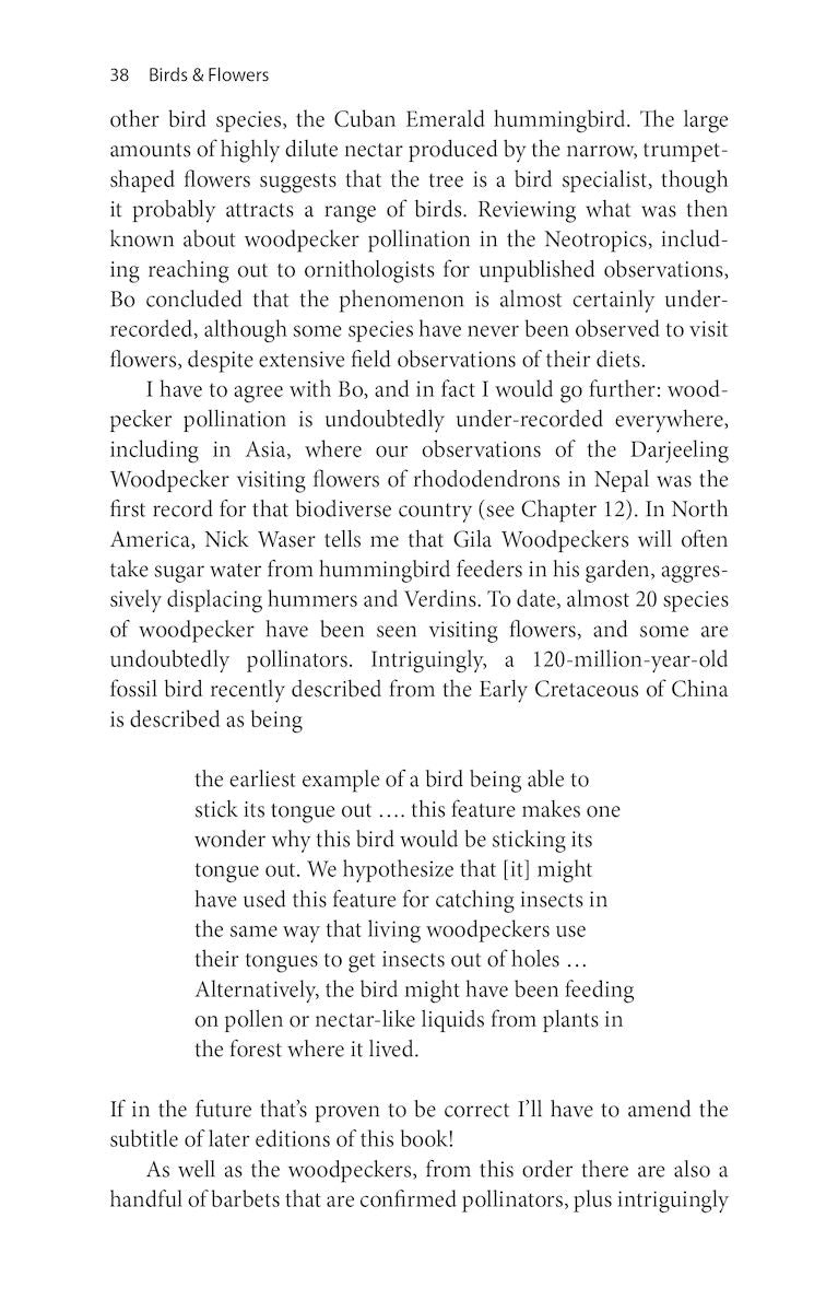 Birds and Flowers - An Intimate 50 Million Year Relationship