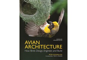 Avian Architecture