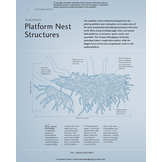 Avian Architecture Revised and Expanded Edition: How Birds Design, Engineer, and Build