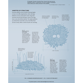 Avian Architecture Revised and Expanded Edition: How Birds Design, Engineer, and Build