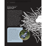 Avian Architecture Revised and Expanded Edition: How Birds Design, Engineer, and Build