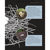Avian Architecture Revised and Expanded Edition: How Birds Design, Engineer, and Build