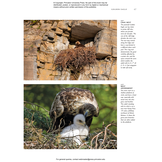 Avian Architecture Revised and Expanded Edition: How Birds Design, Engineer, and Build