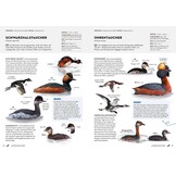 Das NABU-Vogelbuch: 315 Vogelarten Deutschlands - einfach bestimmen mit über 1000 einzigartigen Fotos.
