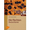 Die Flechten Deutschlands