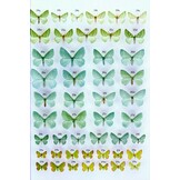 The Geometrid Moths of Europe, Volume 1 - Introduction, Archiearinae, Orthostixinae, Desmobathrinae, Alsophilinae, Geometrinae