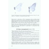 The Geometrid Moths of Europe, Volume 2 - Sterrhinae