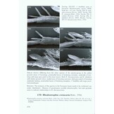 The Geometrid Moths of Europe, Volume 2 - Sterrhinae