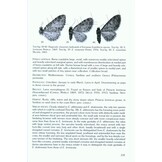 The Geometrid Moths of Europe, Volume 4 - Larentiinae II