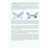 The Geometrid Moths of Europe, Volume 5 - Ennominae I