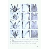 The Geometrid Moths of Europe, Volume 5 - Ennominae I