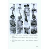 The Geometrid Moths of Europe, Volume 5 - Ennominae I