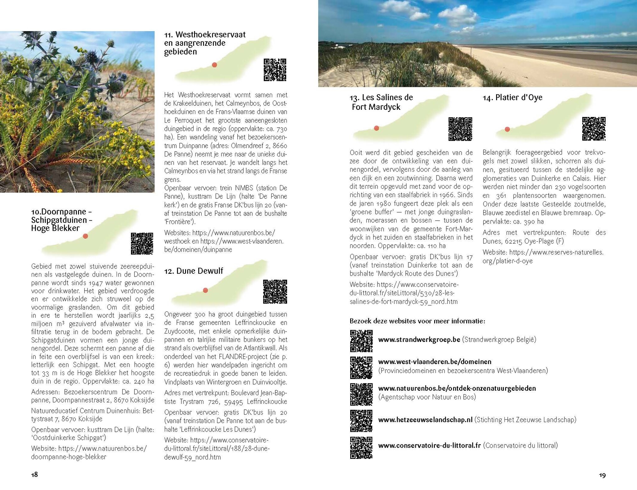 Fauna en Flora van de Vlaamse kust - Van Breskens tot Calais