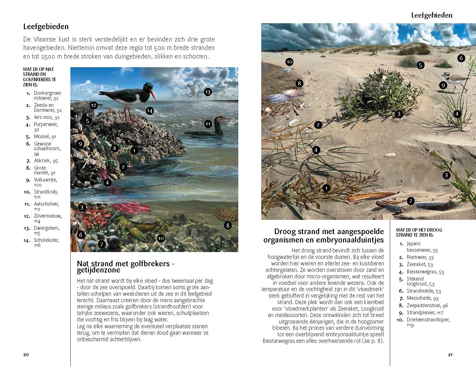 Fauna en Flora van de Vlaamse kust - Van Breskens tot Calais