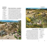 Fauna en Flora van de Vlaamse kust - Van Breskens tot Calais