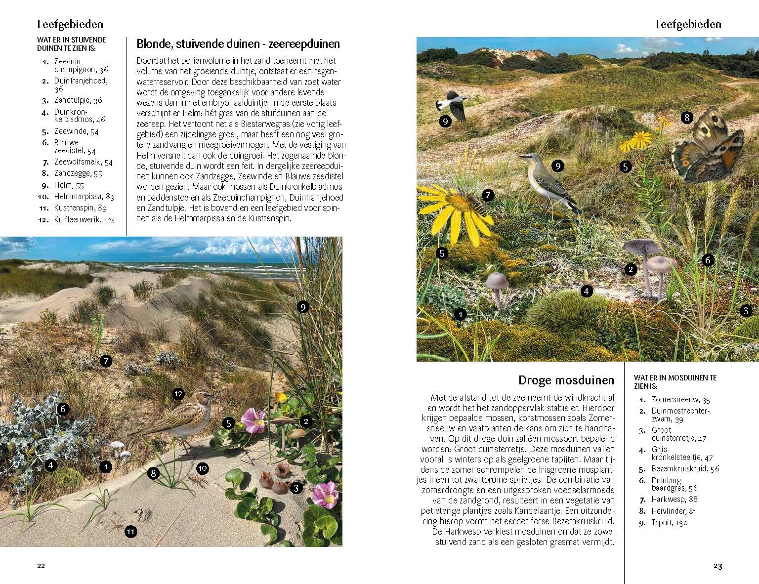 Fauna en Flora van de Vlaamse kust - Van Breskens tot Calais