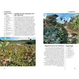 Fauna en Flora van de Vlaamse kust - Van Breskens tot Calais