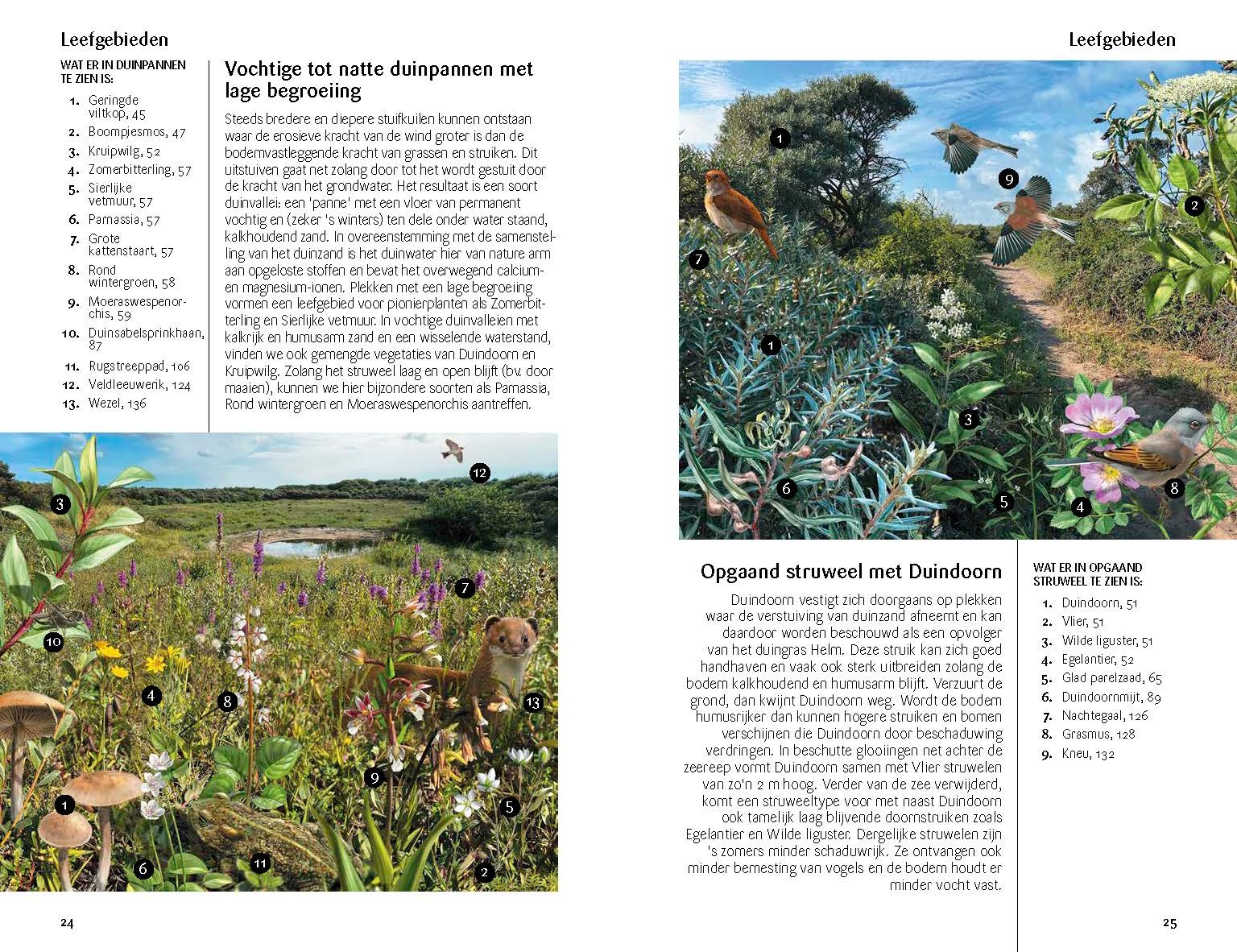 Fauna en Flora van de Vlaamse kust - Van Breskens tot Calais