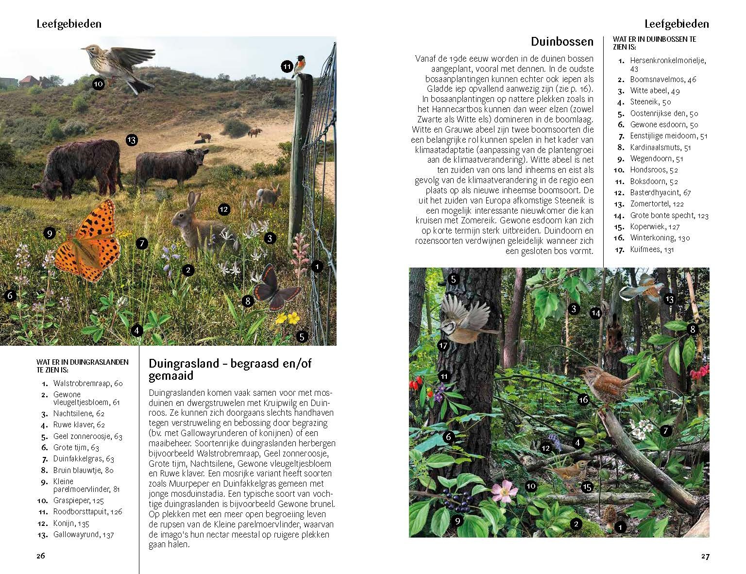 Fauna en Flora van de Vlaamse kust - Van Breskens tot Calais