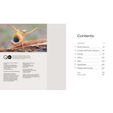 Display - Appearance, posture and behaviour in the animal kingdom