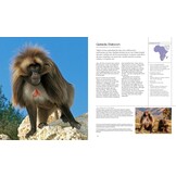 Display - Appearance, posture and behaviour in the animal kingdom