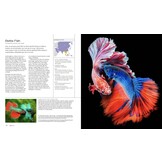 Display - Appearance, posture and behaviour in the animal kingdom