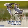 Steltlopers van Europa