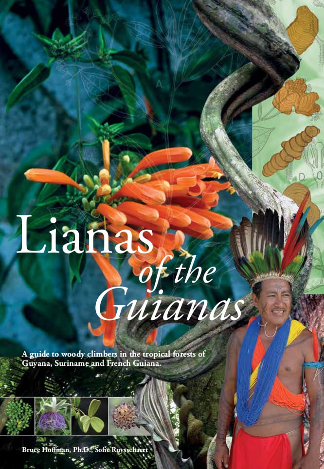 Lianas of the Guianas - A Guide to Woody Climbers in the Tropical Forests of Guyana, Suriname and French Guiana