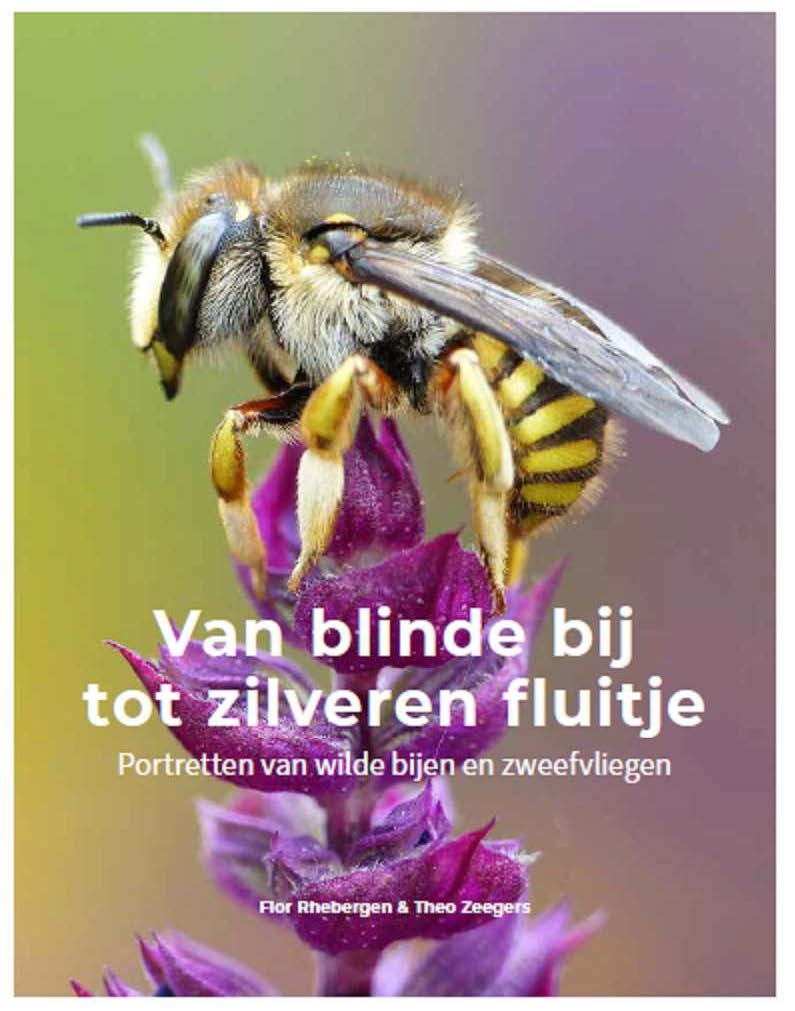 Van blinde bij tot zilveren fluitje - Portretten van wilde bijen en zweefvliegen