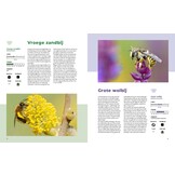 Van blinde bij tot zilveren fluitje - Portretten van wilde bijen en zweefvliegen