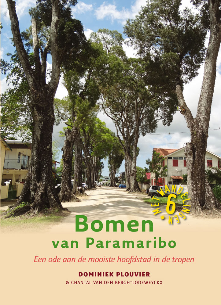 Bomen van Paramaribo- Een ode aan de mooiste hoofdstad van de tropen